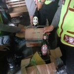 IMG-20160705-WA049